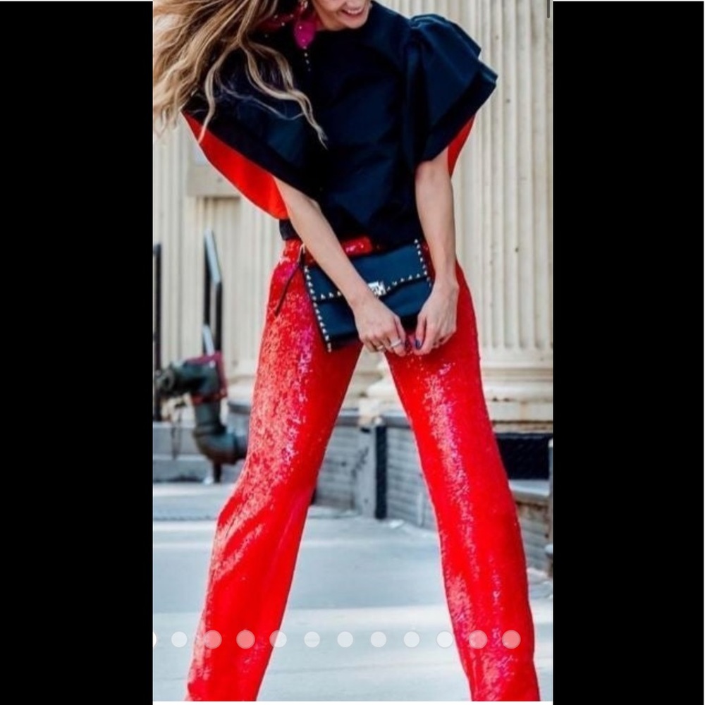Zara Sequin Pant